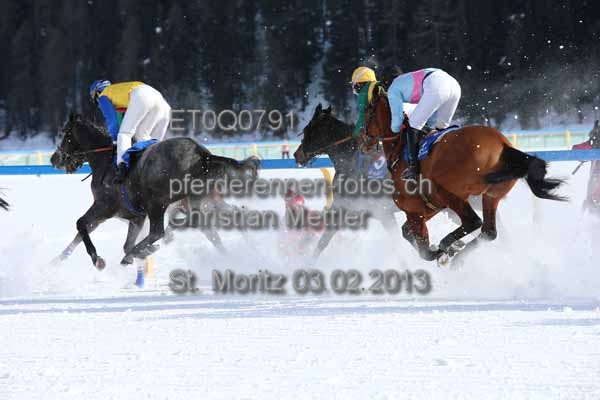 ET0Q0791 prot